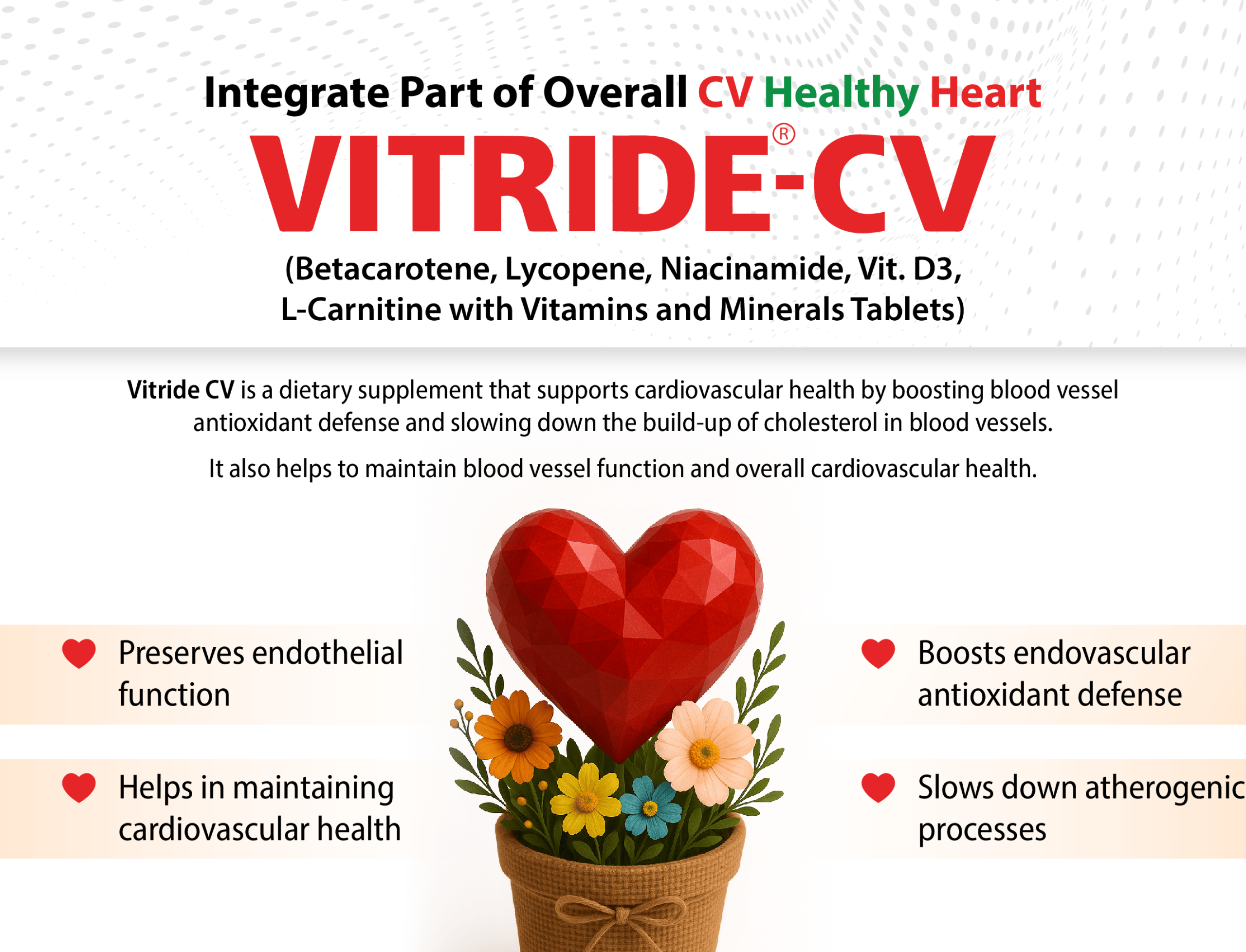 Vitride CV